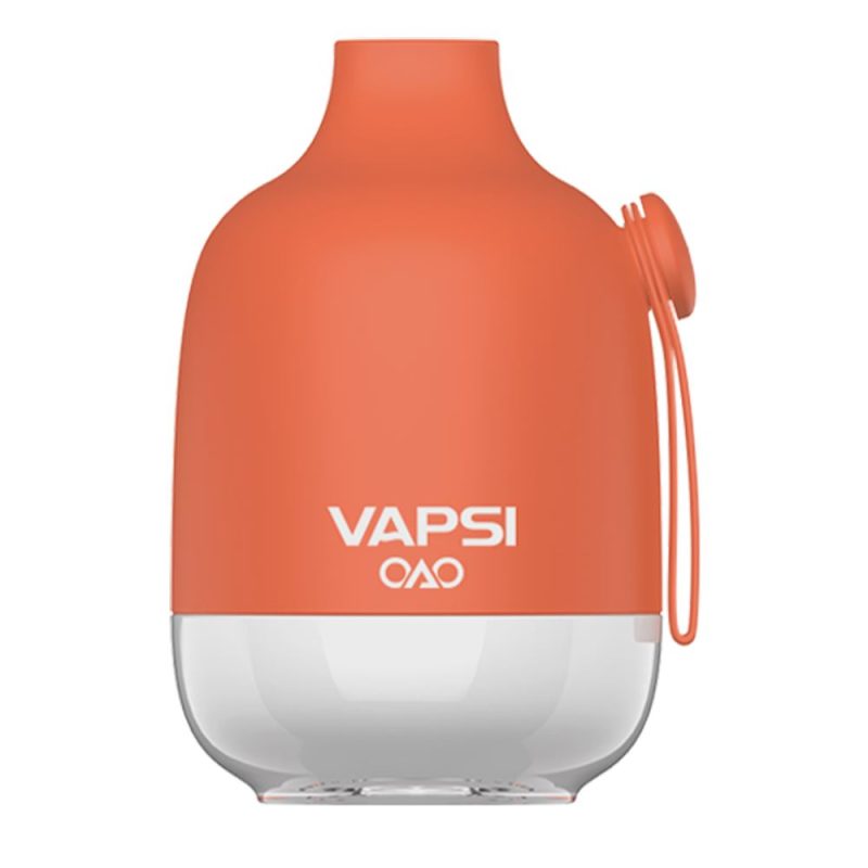 Vapsi OAO Disposable 6000 Puffs 12mL - Peach Mango Watermelon